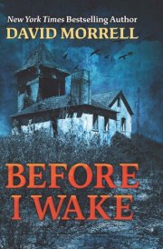 Before I Wake cover image