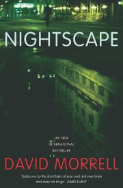 Nightscape cover image