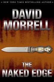 The Naked Edge A Cavanaugh/Protector Novel cover image