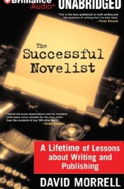 The Successful Novelist cover image
