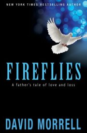 Fireflies A Father's Tale of Love and Loss cover image