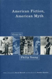 American Fiction, American Myth Essays cover image
