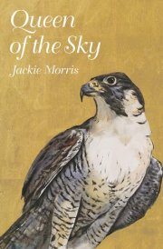 Queen of the Sky cover image