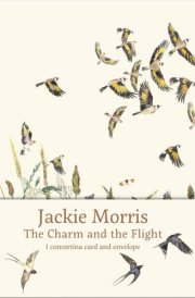 The Charm and the Flight Concertina Card cover image