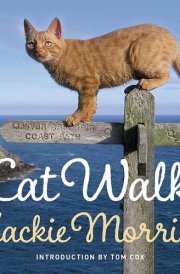 Cat Walk cover image