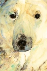 Ice Bear, the - Artist Edition cover image