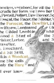 The Names of the Hare Poster cover image