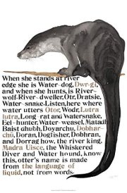 The Names of the Otter Poster cover image