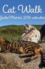 Cat Walk 2016 Calendar cover image