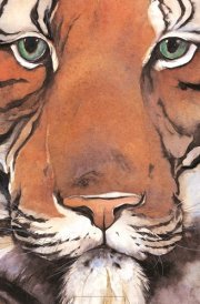 Lord of the Forest Poster cover image