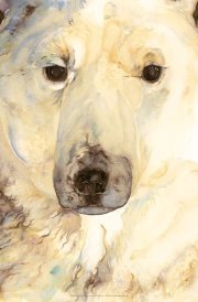 The Ice Bear Poster cover image