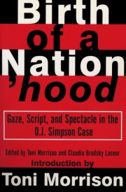 Birth of a Nation'hood Gaze, Script, and Spectacle in the O. J. Simpson Case cover image