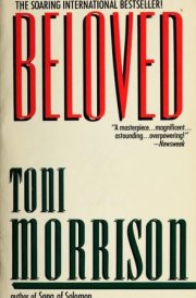 Beloved A Novel cover image