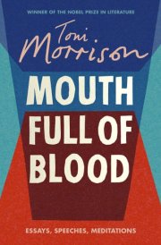 A Mouth Full of Blood Essays, Speeches and Meditations cover image