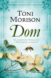 Dom cover image