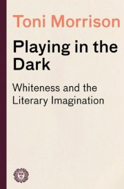 Playing in the Dark cover image
