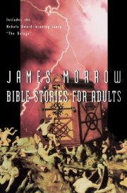 Bible Stories for Adults cover image