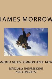 America Needs Common Sense Now Especially the President and Congress cover image