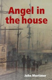 Angel in the house cover image