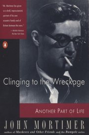 Clinging to the Wreckage Another Part of Life cover image