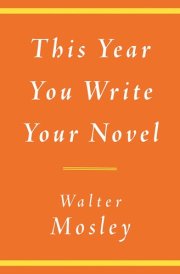 This Year You Write Your Novel cover image