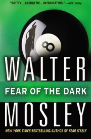 Fear of the Dark A Novel cover image