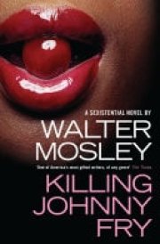 Killing Johnny Fry A Sexistential Novel cover image