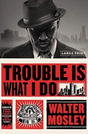 Trouble Is What I Do cover image