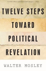Twelve Steps Toward Political Revelation cover image