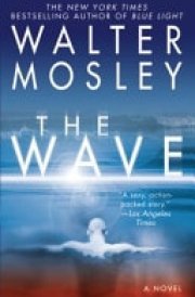 The Wave cover image