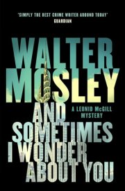 And Sometimes I Wonder about You Leonid Mcgill 5 cover image