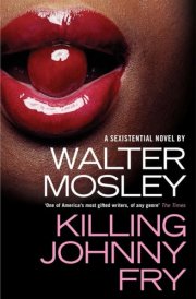Killing Johnny Fry cover image
