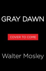 Gray Dawn An Easy Rawlins Mystery cover image
