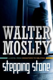 Stepping Stone cover image