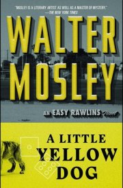 A Little Yellow Dog An Easy Rawlins Novel cover image