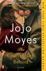 The Girl You Left Behind A Novel cover image
