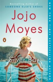 Silver Bay A Novel cover image