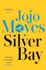 Silver Bay 'Surprising and genuinely moving' - The Times cover image