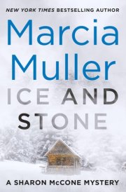 Ice and Stone cover image
