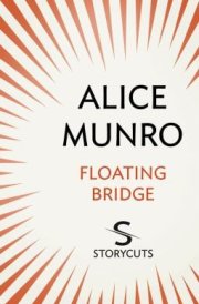 Floating Bridge (Storycuts) cover image