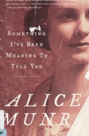 Something I've Been Meaning to Tell You: 13 Stories cover image