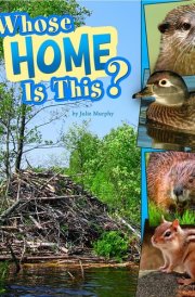 Whose Home Is This? cover image