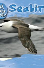 Seabirds cover image