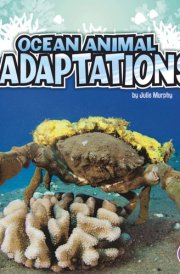 Ocean Animal Adaptations cover image