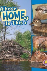 Whose Home Is This? cover image
