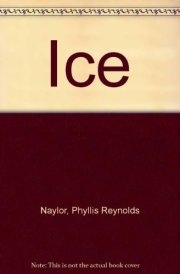 Ice cover image