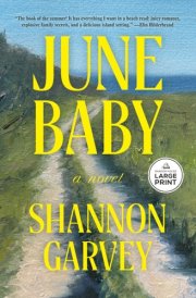 June Baby: A Novel (Thousand Voices) cover image