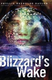 Blizzard's Wake cover image