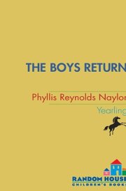 The Boys Return cover image