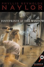 Footprints at the Window cover image